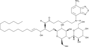 C6 NBD Lactosylceramide (d18:1/6:0)