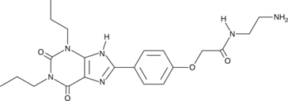 Xanthine amine congener