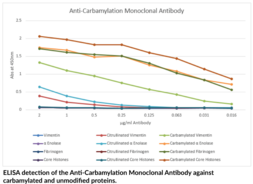 Anti-<wbr/>Carbamylation (Homo<wbr/>citrulline) Monoclonal Antibody