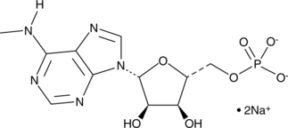 N<sup>6</sup>-Methyl<wbr/>adenosine 5'-monophos<wbr/>phate (sodium salt)