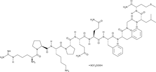 Substance P (trifluoro<wbr/>acetate salt)