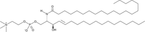 C20 Sphingomyelin (d18:1/20:0)