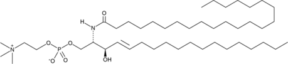 C22 Sphingomyelin (d18:1/22:0)