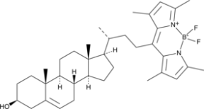 BODIPY-<wbr/>Cholesterol