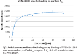 Adenosine A<sub>2A</sub> Receptor (human recombinant)