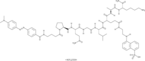 Dabcyl-GABA-<wbr/>PQGL-Glu<wbr/>(EDANS)-AK-<wbr/>NH<sub>2</sub>, (trifluoroacetate salt)