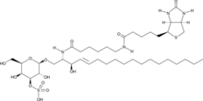 C6 Biotin 3'-sulfo Galactosyl<wbr/>ceramide (d18:1/6:0)