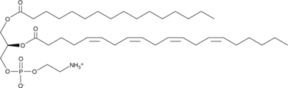 1-Palmitoyl-2-<wbr/>Arachidonoyl-<wbr/><em>sn</em>-glycero-<wbr/>3-PE