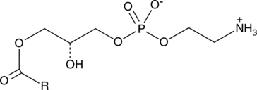 Lyso<wbr/>phosphatidyl<wbr/>ethanolamines (egg)