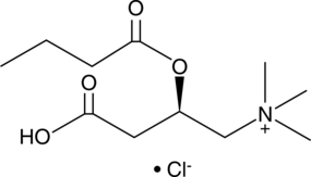 Butyryl-L-<wbr/>carnitine (chloride)