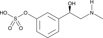 Phenyl<wbr/>ephrine-3-O-<wbr/>Sulfate