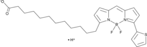 BODIPY 558/568 C12