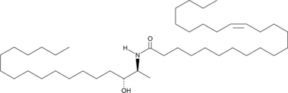 C24:1 dihydro 1-Deoxy<wbr/>ceramide (m18:0/24:1)