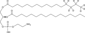 1-Palmitoyl-<wbr/>d<sub>9</sub>-2-Palmitoyl-<wbr/><em>sn</em>-glycero-3-<wbr/>PE