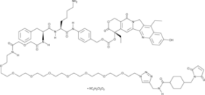 CL2-SN-38 (dichloroacetic acid salt)