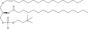 1-1(Z)-<wbr/>Hexadecenyl-<wbr/>2-Palmitoyl-<wbr/><em>sn</em>-glycero-3-<wbr/>PC