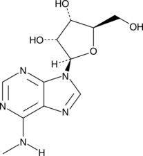 N<sup>6</sup>-Methyl<wbr/>adenosine