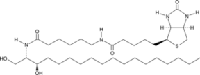 C6 Biotin dihydro Ceramide (d18:0/6:0)