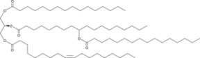 1-Palmitoyl-2-9-PAHSA-3-Oleoyl-<em>sn</em>-glycerol