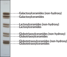 Neutral Glycosphingolipid Mixture