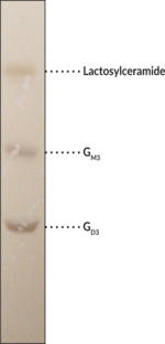 Lactosylceramide and Ganglioside G<sub>M3</sub> and G<sub>D3</sub> Mixture