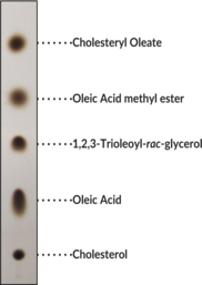 Non-polar Lipid Mixture 2 (plant, ovine)