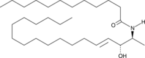 C12 1-Deoxyceramide (m18:1/12:0)