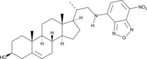 22-NBD Cholesterol