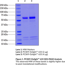 PCSK9-<wbr/>DyLight™ 633