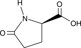 D-Pyroglutamic Acid