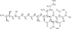 Fumonisin B<sub>2</sub>-<sup>13</sup>C<sub>34</sub>