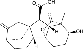 Gibberellin A<sub>4</sub>