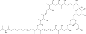 Malolactomycin C