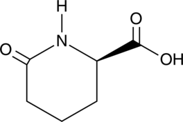 D-Pyrohomo<wbr/>glutamic Acid