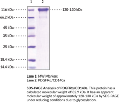 PDGFR?/CD140a (human, recombinant)