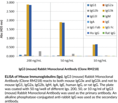 IgG3 (mouse) Rabbit Monoclonal Antibody