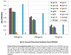 IgG Fc (mouse) Monoclonal Antibody