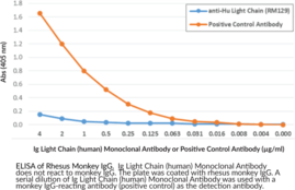 Ig Light Chain (human) Rabbit Monoclonal Antibody