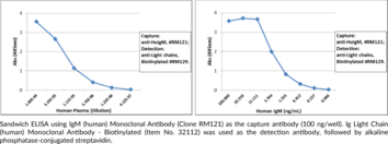 IgM (human) Monoclonal Antibody