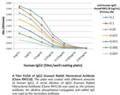 IgG2 (human) Rabbit Monoclonal Antibody