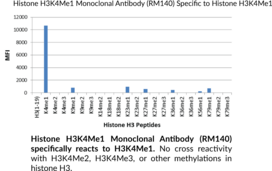 Histone H3K4Me1 Monoclonal Antibody