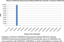 Histone H3K4Me2 Monoclonal Antibody