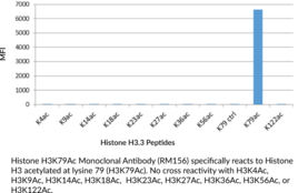 Histone H3K79Ac Monoclonal Antibody