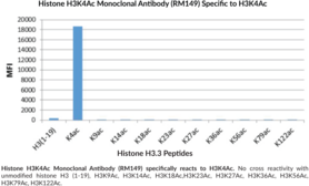 Histone H3K4Ac Monoclonal Antibody