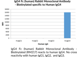 IgG4 Fc (human) Rabbit Monoclonal Antibody - Biotinylated