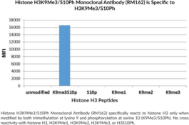Histone H3K9Me3/S10Ph Monoclonal Antibody