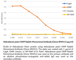 <em>Helicobacter pylori</em> OMP Rabbit Monoclonal Antibody (Clone RM411)