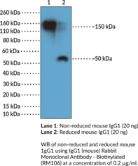 IgG1 (mouse) Rabbit Monoclonal Antibody - Biotinylated