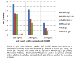 IgG (rabbit) Monoclonal Antibody - Biotinylated