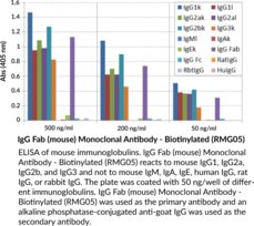 IgG Fab (mouse) Monoclonal Antibody - Biotinylated